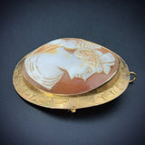 Antique 14K & Shell Cameo Psyche Brooch