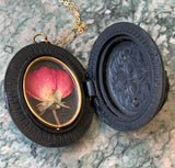 Antique Gutta Percha Bird Nest Locket on 9K Gold Chain