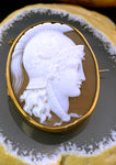 Antique 9K & Carved Shell Minerva Cameo Brooch