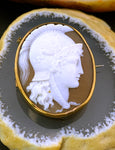 Antique 9K & Carved Shell Minerva Cameo Brooch