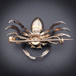 Antique 18K, Silver, Diamond & Enamel Spider Brooch